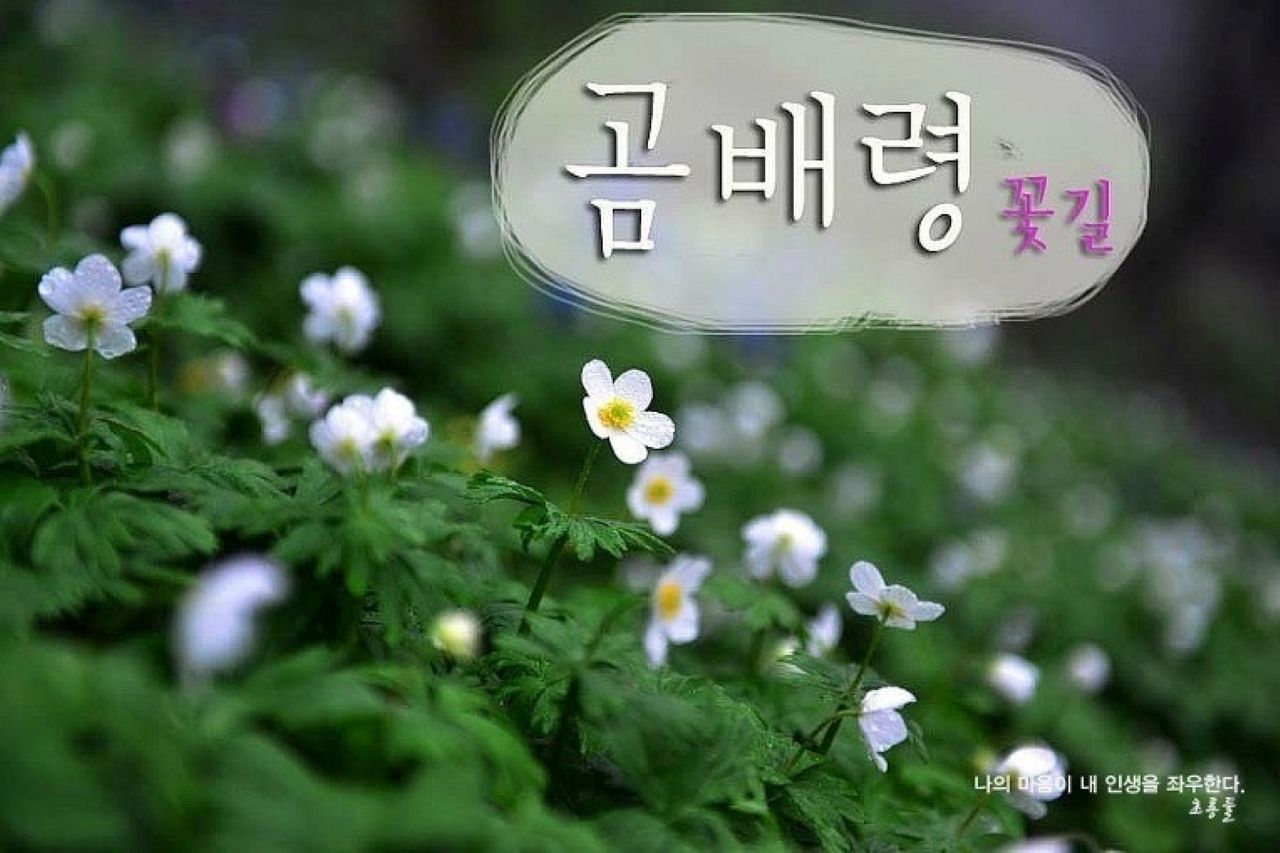 /upload/tourman/file/we1100/202606/tourman_cm9910_30000268.jpg