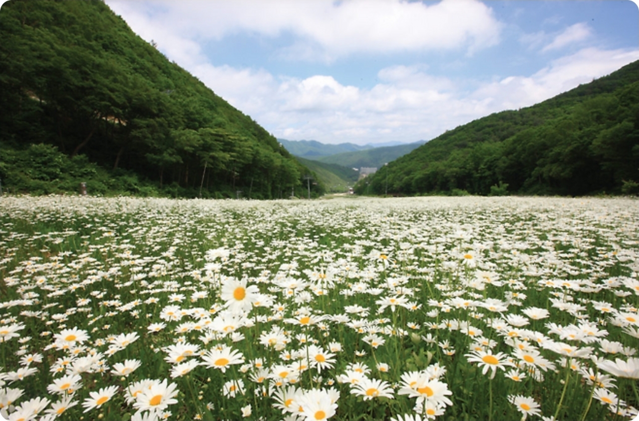 /upload/tourman/image/goods/main/30000232/tourman_cm9900_30001963.jpg