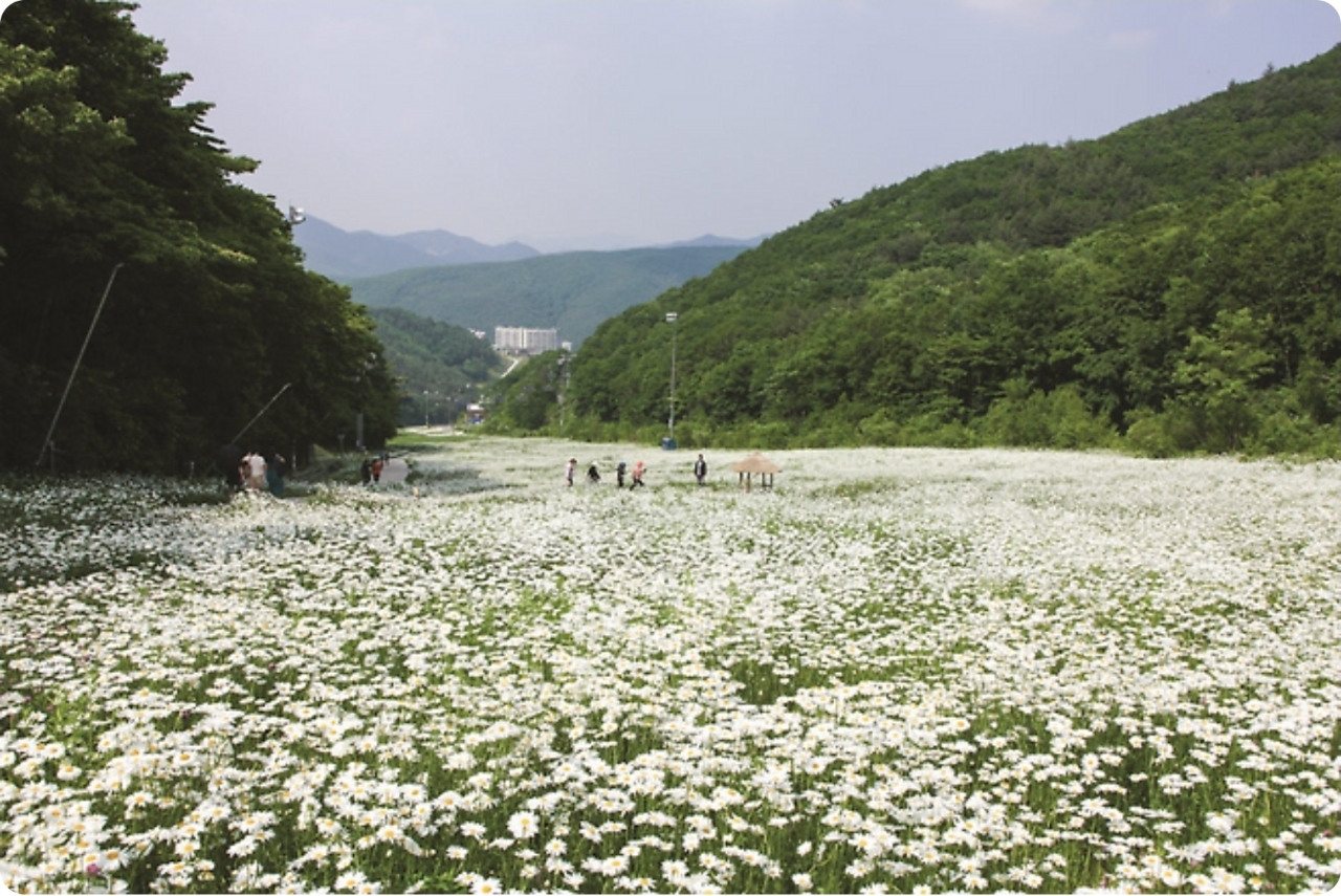 /upload/tourman/image/goods/main/30000232/tourman_cm9900_30001964.jpg