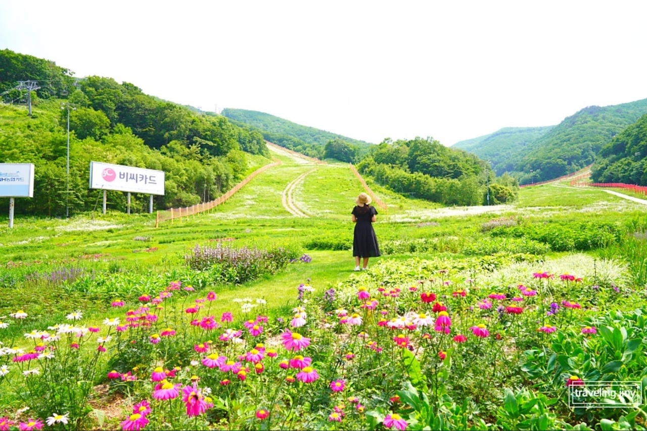 /upload/tourman/image/goods/main/30000232/tourman_cm9900_30001966.jpg