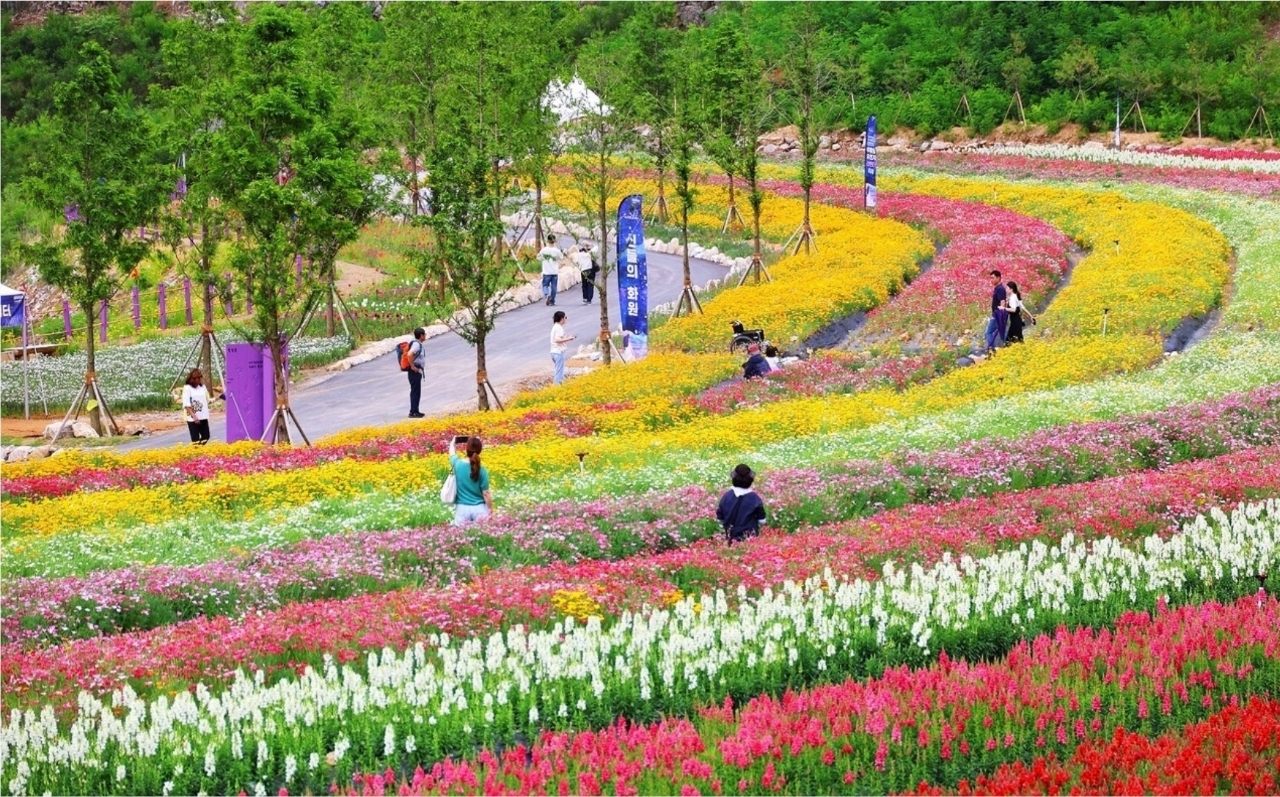 /upload/tourman/image/goods/main/30000232/tourman_cm9900_30001979.jpg